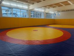 Зал вольной борьбы